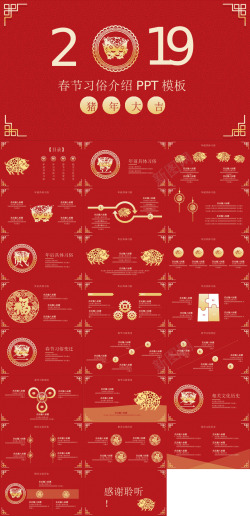 53ml精品系列53