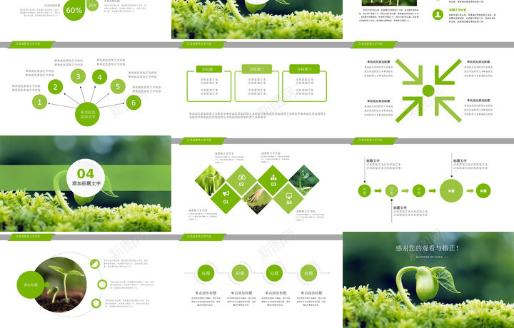 绿色环保37PPT模板_新图网 https://ixintu.com 绿色环保