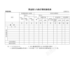 执行文化学校资金投入与执行情况验收表