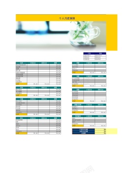 财务08个人月度预算财务表