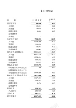 计数表学校支出明细表