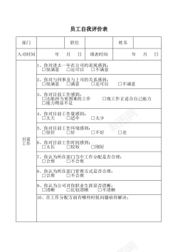 独立自我员工自我评价表Excel图表模板