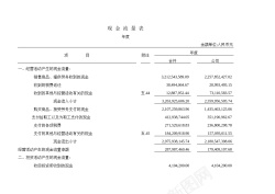 现金流现金流量表