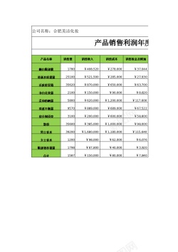 招聘销售销售利润年度报表