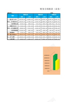 分部财务分部报表