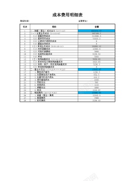 账户明细成本费用明细表