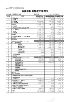 奥林匹克运动会项目纳税调整增加项目明细表