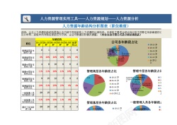 人物分析图人力资源年龄结构分析图表职位维度