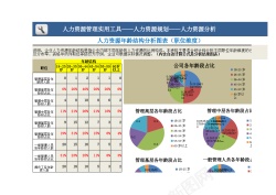 对分析人力资源年龄结构分析图表职位维度