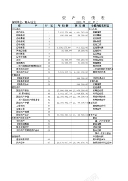 cloud2资产负债表2