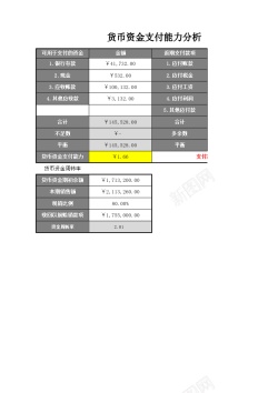 矢量网络支付货币资金支付能力分析表