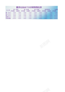 已销售靓采化妆品销售情况表