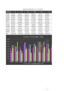 微商招商代理微商代理年中分析报告